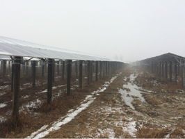 湖北漢川10.6MWp集中式農(nóng)光互補(bǔ)光伏扶貧電站項(xiàng)目