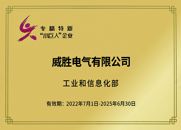 國(guó)家專(zhuān)精特新小巨人企業(yè)